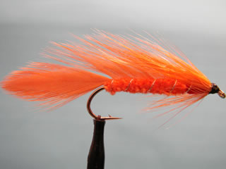 Orange Matuka (4-8)